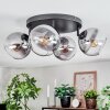 Koyoto lampa sufitowa, kula świetlna przezroczysty, przydymiony, 4-punktowe