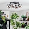 Ripoll lampa sufitowa, kula świetlna bursztynowy, przezroczysty, 4-punktowe