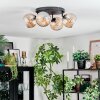 Koyoto lampa sufitowa, kula świetlna bursztynowy, 4-punktowe