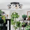 Ripoll lampa sufitowa, kula świetlna bursztynowy, przezroczysty, przydymiony, 4-punktowe