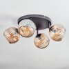 Ripoll lampa sufitowa, kula świetlna bursztynowy, 4-punktowe
