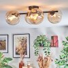 Chehalis lampa sufitowa, kula świetlna bursztynowy, przezroczysty, 4-punktowe