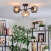 Ripoll lampa sufitowa, kula świetlna przezroczysty, przydymiony, 3-punktowe