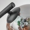 Gastor lampa sufitowa, kula świetlna bursztynowy, przydymiony, 3-punktowe