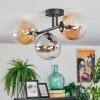 Gastor lampa sufitowa, kula świetlna bursztynowy, przezroczysty, przydymiony, 3-punktowe