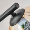 Koyoto lampa sufitowa, kula świetlna bursztynowy, przezroczysty, 3-punktowe
