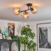 Koyoto lampa sufitowa, kula świetlna bursztynowy, przezroczysty, przydymiony, 3-punktowe