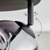 Ripoll lampa sufitowa, kula świetlna bursztynowy, przydymiony, 4-punktowe