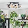 Ripoll lampa sufitowa, kula świetlna bursztynowy, przezroczysty, przydymiony, 4-punktowe