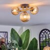 Chehalis lampa sufitowa, kula świetlna złoty, czarny, 3-punktowe