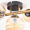 Chehalis lampa sufitowa, kula świetlna złoty, czarny, 3-punktowe