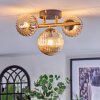 Chehalis lampa sufitowa, kula świetlna złoty, czarny, 3-punktowe