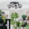 Ripoll lampa sufitowa, kula świetlna chrom, przezroczysty, przydymiony, 4-punktowe