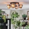 Ripoll lampa sufitowa, kula świetlna chrom, przezroczysty, przydymiony, 4-punktowe