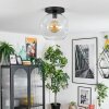 Ripoll lampa sufitowa, kula świetlna przezroczysty, 1-punktowy