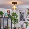 Ripoll lampa sufitowa, kula świetlna przezroczysty, 1-punktowy