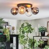 Gastor lampa sufitowa, kula świetlna bursztynowy, przezroczysty, przydymiony, 4-punktowe
