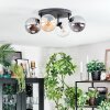 Gastor lampa sufitowa, kula świetlna bursztynowy, przezroczysty, przydymiony, 4-punktowe