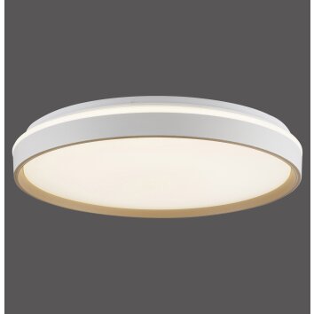 Oświetlenie Paul Neuhaus MIO lampa sufitowa LED piaskowy, 1-punktowy, Zdalne sterowanie