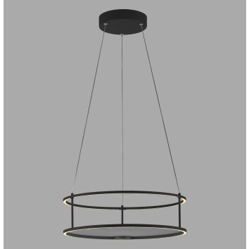 Oświetlenie Paul Neuhaus CONNI lampa wisząca LED czarny, 2-punktowe