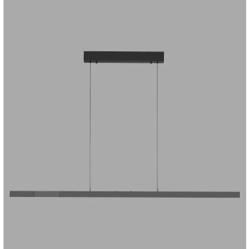 Oświetlenie Paul Neuhaus Lift Lampa wisząca LED Antracytowy, 3-punktowe