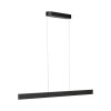 Paul Neuhaus Q-Serie Q-STRETTO Lampa wisząca LED Czarny, 2-punktowe, Zdalne sterowanie