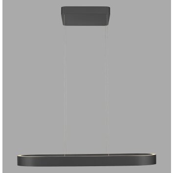 Paul Neuhaus Q-Serie Q-STRETTO Lampa wisząca LED Czarny, 2-punktowe, Zdalne sterowanie