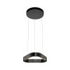 Paul Neuhaus Q-Serie Q-STRETTO lampa wisząca LED czarny, 2-punktowe, Zdalne sterowanie