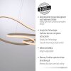 Oświetlenie Paul Neuhaus TWIST lampa wisząca LED piaskowy, 1-punktowy