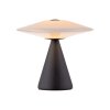 Oświetlenie Paul Neuhaus ELIPSA Lampa stołowa LED Czarny, 1-punktowy
