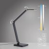 Oświetlenie Paul Neuhaus SAMSKY Lampa stołowa LED Szary, 1-punktowy
