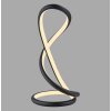 Oświetlenie Paul Neuhaus TWIST Lampa stołowa LED Czarny, 1-punktowy