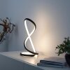 Oświetlenie Paul Neuhaus TWIST Lampa stołowa LED Czarny, 1-punktowy