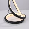 Oświetlenie Paul Neuhaus TWIST Lampa stołowa LED Czarny, 1-punktowy