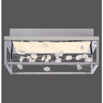 Oświetlenie Paul Neuhaus SKINA Lampa sufitowa LED Srebrny, 1-punktowy, Zdalne sterowanie