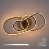 Oświetlenie Paul Neuhaus TWIST lampa sufitowa LED piaskowy, 1-punktowy
