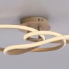 Oświetlenie Paul Neuhaus TWIST lampa sufitowa LED piaskowy, 1-punktowy