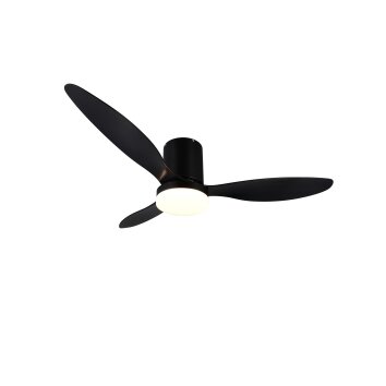 Oświetlenie Reality mit lampa z wentylatorem LED Czarny, 1-punktowy, Zdalne sterowanie