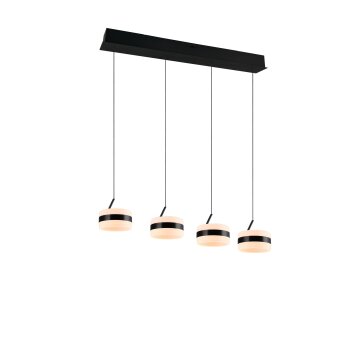Oświetlenie Trio Dios Lampa wisząca LED Czarny, 4-punktowe