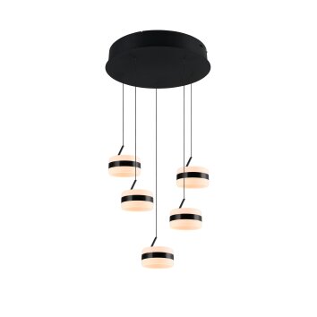 Oświetlenie Trio Dios Lampa wisząca LED Czarny, 5-punktowe