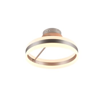 Oświetlenie Trio Dios Lampa sufitowa LED Nikiel matowy, 1-punktowy