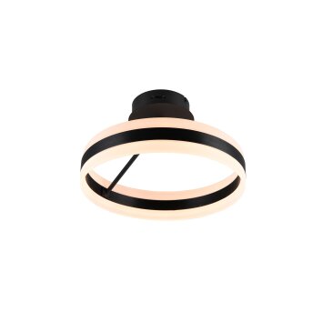 Oświetlenie Trio Dios Lampa sufitowa LED Czarny, 1-punktowy