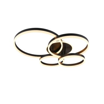 Oświetlenie Trio Drake Lampa sufitowa LED Czarny, 1-punktowy, Zdalne sterowanie