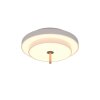 Oświetlenie Trio KEATON lampa sufitowa LED szary, 1-punktowy