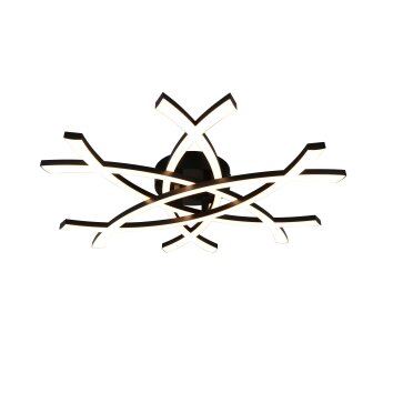 Oświetlenie Reality Pollock Lampa sufitowa LED Czarny, 1-punktowy