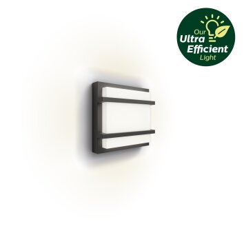 Oświetlenie Philips Petronia Zewnętrzny kinkiet LED Antracytowy, 1-punktowy