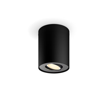 Oświetlenie Philips Pillar Lampa sufitowa Czarny, 1-punktowy