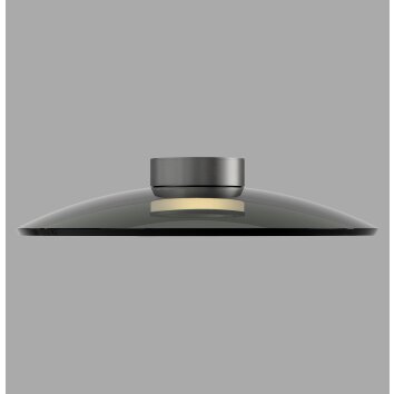 Oświetlenie Paul Neuhaus Moon Lampa sufitowa LED Srebrny, 2-punktowe