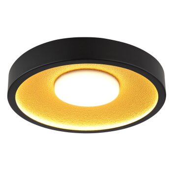 Oświetlenie Globo Woki Lampa sufitowa LED Czarny, 1-punktowy