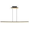 Oświetlenie Globo Hilton Lampa wisząca LED Czarny, 1-punktowy